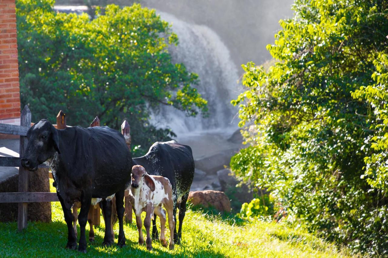 Chales Pedacim Du Ceu Bueno Brandão Exteriér fotografie